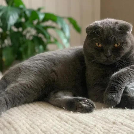 Ludmila - 