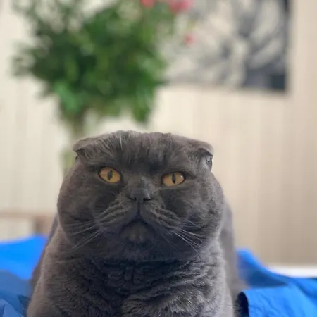 Auberge de jeunesse Ludmila - 