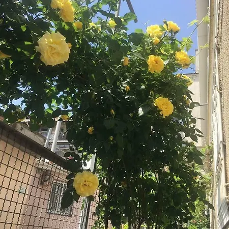 Auberge de jeunesse Ludmila - 