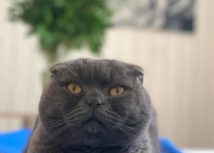 Auberge de jeunesse Ludmila - 