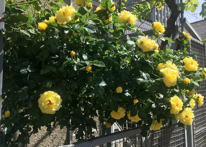 Хостел Ludmila - людмила