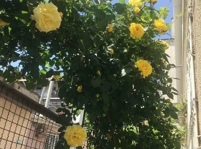 Хостел Ludmila - людмила